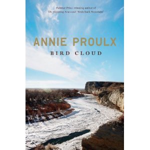 bird cloud cover