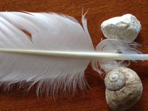 photo (3)